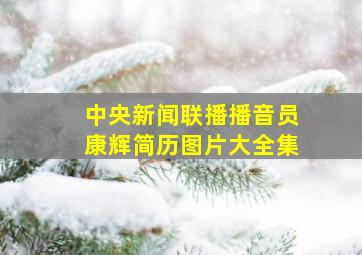 中央新闻联播播音员康辉简历图片大全集