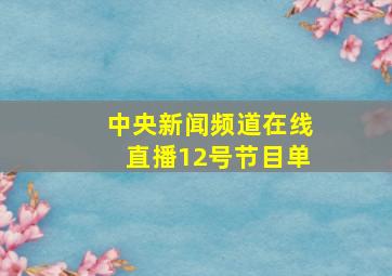 中央新闻频道在线直播12号节目单