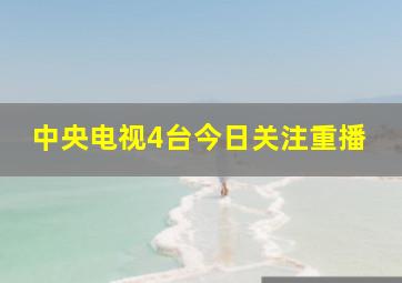 中央电视4台今日关注重播