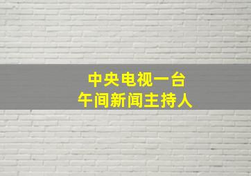 中央电视一台午间新闻主持人