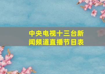 中央电视十三台新闻频道直播节目表