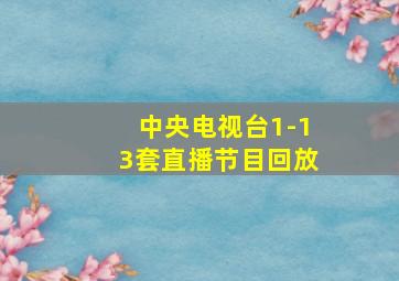 中央电视台1-13套直播节目回放