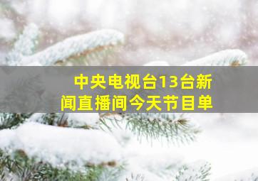 中央电视台13台新闻直播间今天节目单