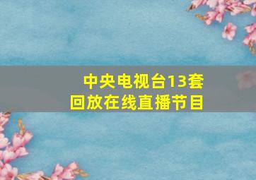 中央电视台13套回放在线直播节目