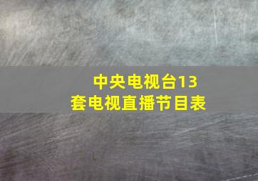 中央电视台13套电视直播节目表