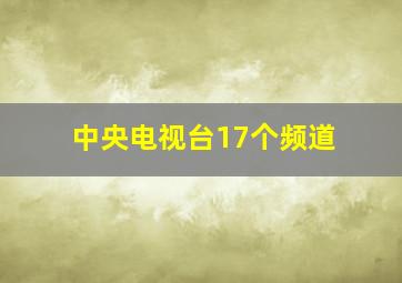 中央电视台17个频道