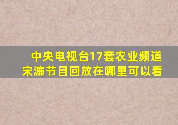 中央电视台17套农业频道宋濂节目回放在哪里可以看