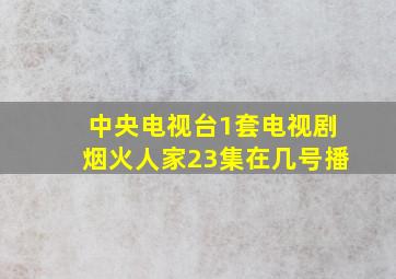 中央电视台1套电视剧烟火人家23集在几号播