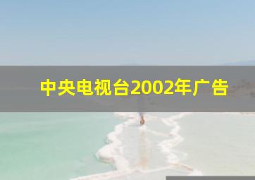 中央电视台2002年广告