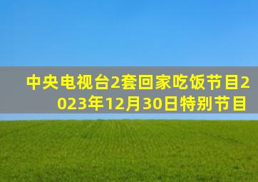 中央电视台2套回家吃饭节目2023年12月30日特别节目