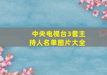 中央电视台3套主持人名单图片大全