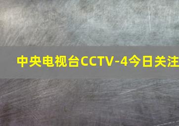 中央电视台CCTV-4今日关注