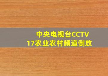 中央电视台CCTV17农业农村频道倒放