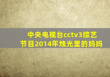 中央电视台cctv3综艺节目2014年烛光里的妈妈