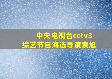 中央电视台cctv3综艺节目海选导演袁旭