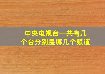 中央电视台一共有几个台分别是哪几个频道