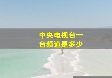 中央电视台一台频道是多少