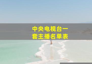 中央电视台一套主播名单表