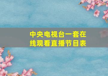 中央电视台一套在线观看直播节目表