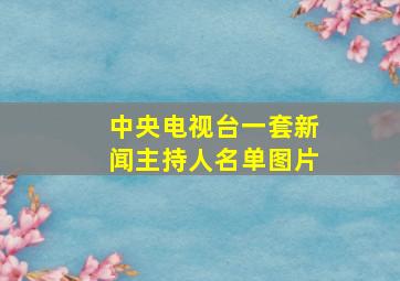 中央电视台一套新闻主持人名单图片