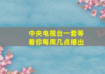 中央电视台一套等着你每周几点播出