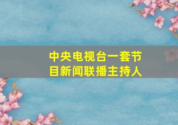 中央电视台一套节目新闻联播主持人