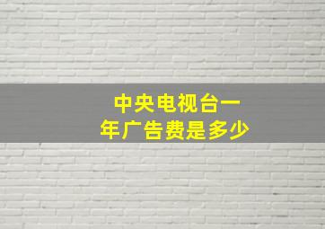 中央电视台一年广告费是多少