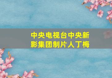 中央电视台中央新影集团制片人丁梅