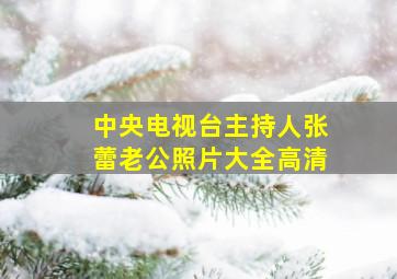 中央电视台主持人张蕾老公照片大全高清