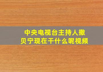 中央电视台主持人撒贝宁现在干什么呢视频