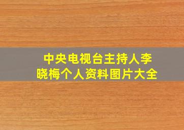 中央电视台主持人李晓梅个人资料图片大全