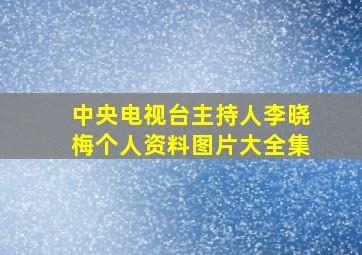 中央电视台主持人李晓梅个人资料图片大全集