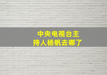 中央电视台主持人杨帆去哪了