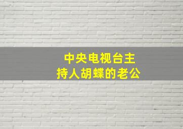 中央电视台主持人胡蝶的老公