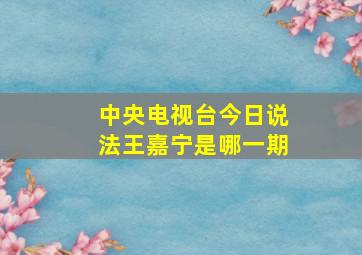 中央电视台今日说法王嘉宁是哪一期