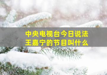 中央电视台今日说法王嘉宁的节目叫什么