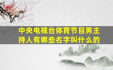 中央电视台体育节目男主持人有哪些名字叫什么的