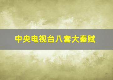 中央电视台八套大秦赋