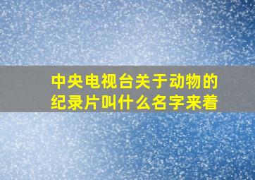 中央电视台关于动物的纪录片叫什么名字来着