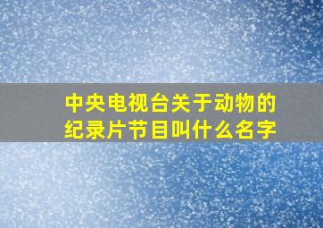 中央电视台关于动物的纪录片节目叫什么名字