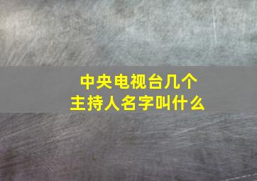 中央电视台几个主持人名字叫什么