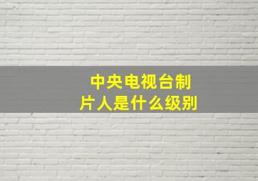 中央电视台制片人是什么级别