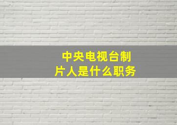 中央电视台制片人是什么职务