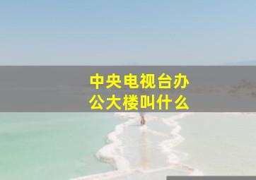 中央电视台办公大楼叫什么