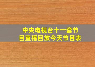 中央电视台十一套节目直播回放今天节目表