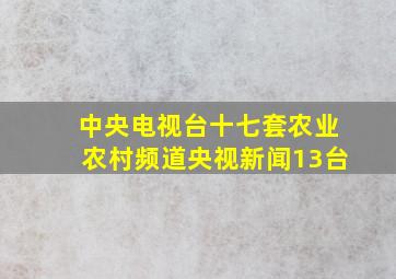 中央电视台十七套农业农村频道央视新闻13台