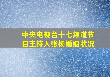 中央电视台十七频道节目主持人张杨婚姻状况