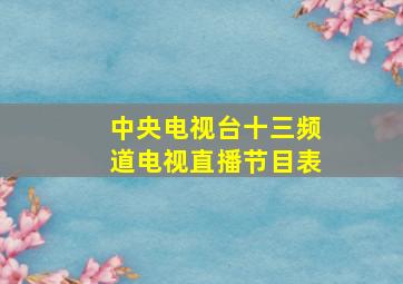 中央电视台十三频道电视直播节目表