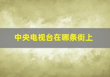 中央电视台在哪条街上