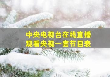 中央电视台在线直播观看央视一套节目表